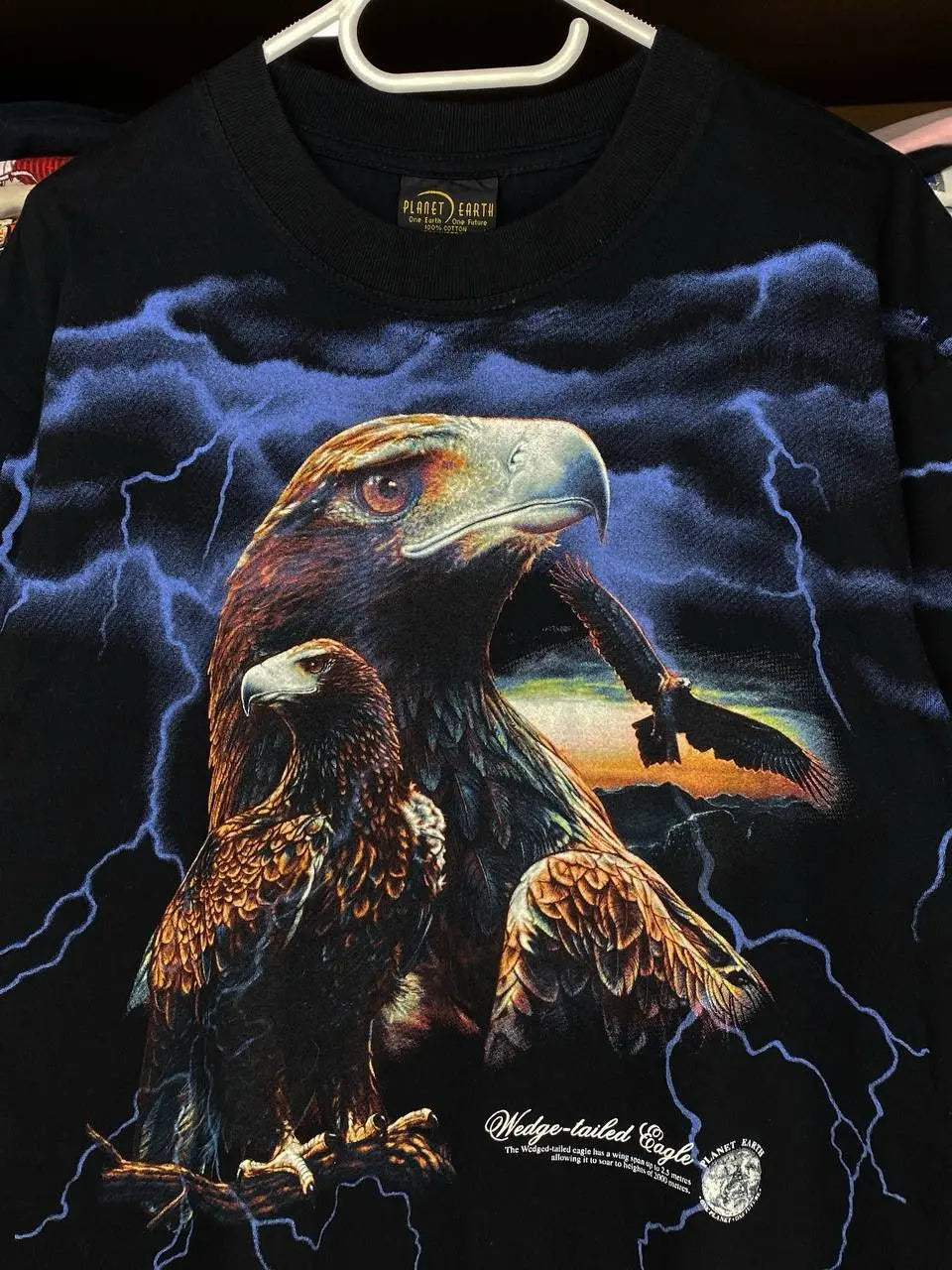 Vintage 1990 Planet Earth Australia Shirt Wedge-Tailed Eagle Lightning Bolts Animal AOP Graphic Tee